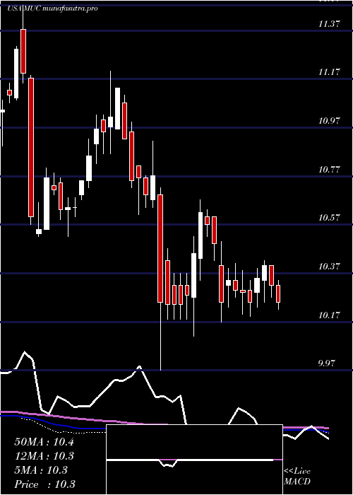 weekly chart BlackrockMuniholdings