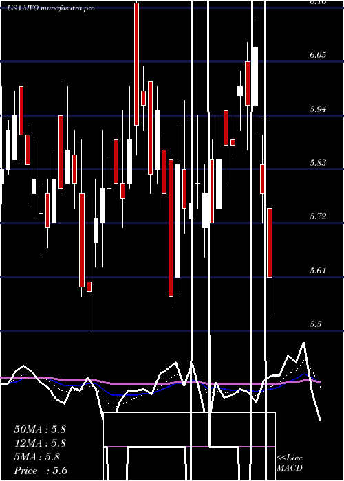 Daily chart MvOil