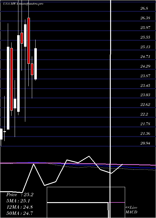 monthly chart MuellerWater