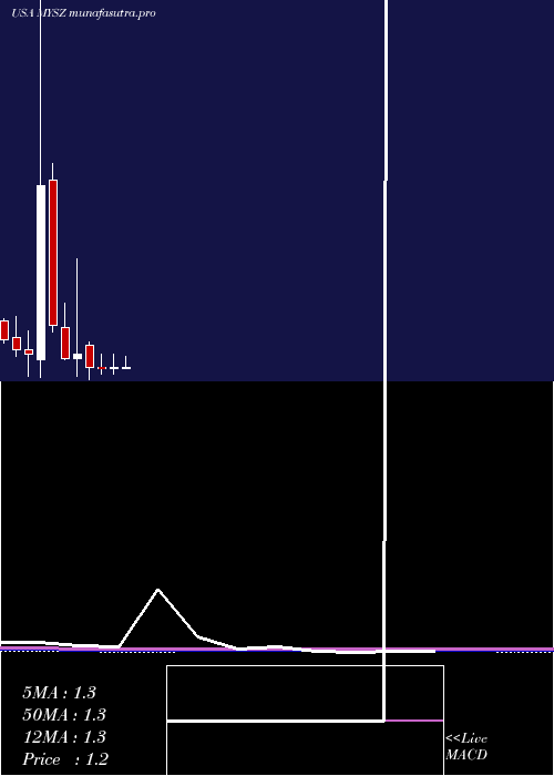 monthly chart MySize