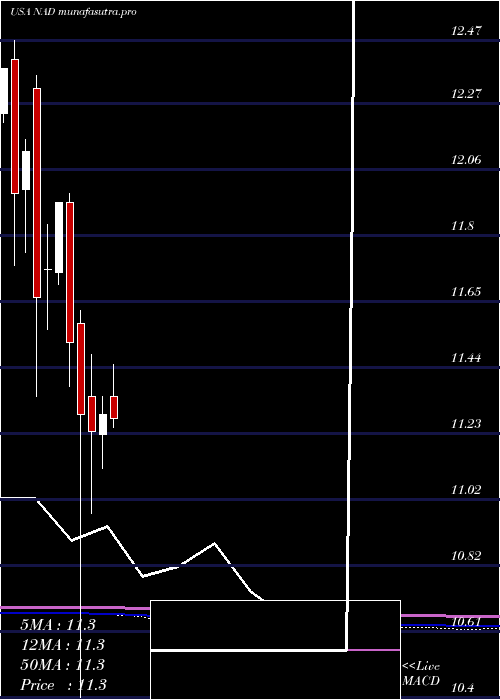 monthly chart NuveenQuality