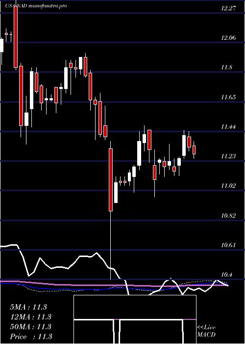 weekly chart NuveenQuality