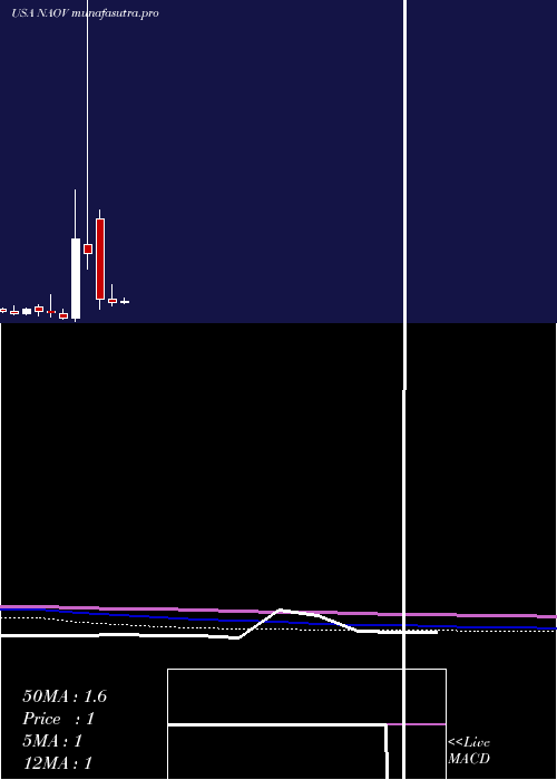 monthly chart NanovibronixInc