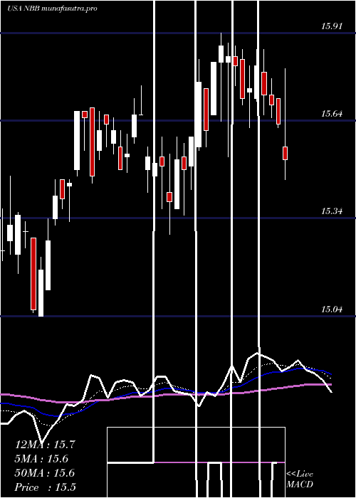Daily chart NuveenTaxable