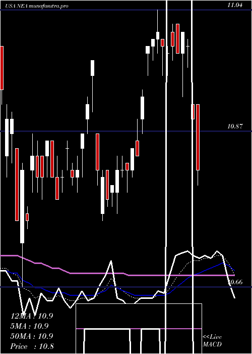 Daily chart NuveenAmt