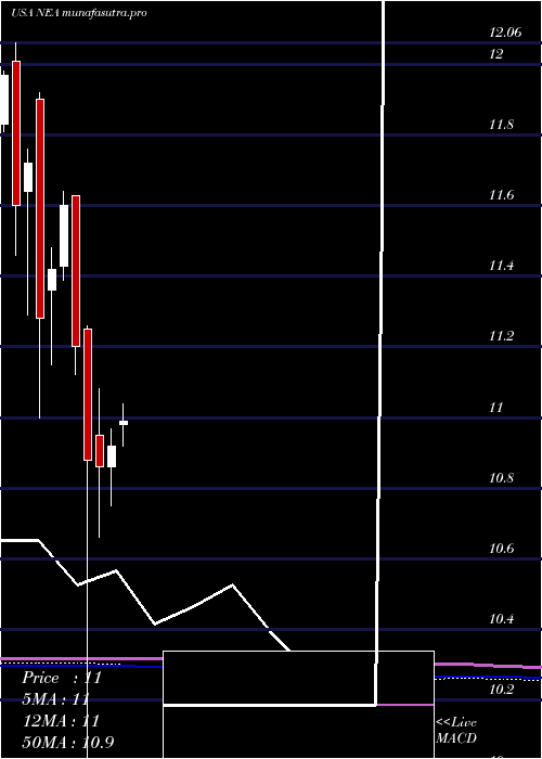 monthly chart NuveenAmt