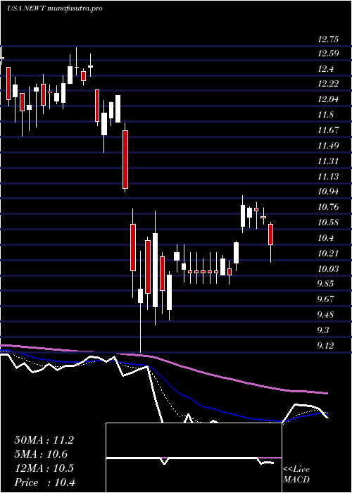  Daily chart NewtekBusiness