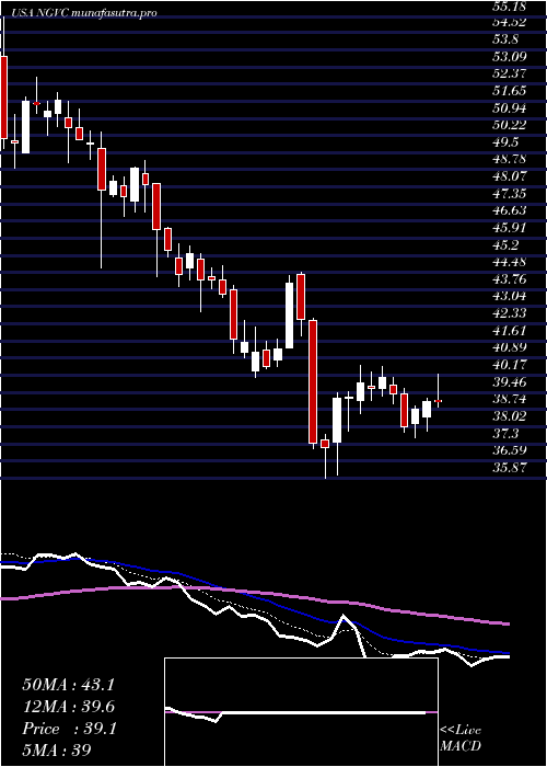 Daily chart NaturalGrocers