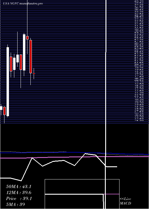 monthly chart NaturalGrocers