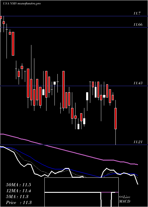 Daily chart NuveenMinnesota
