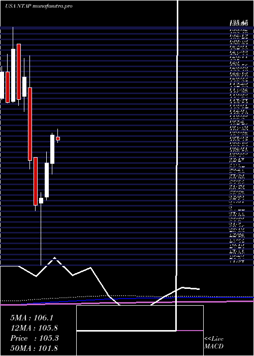 monthly chart NetappInc