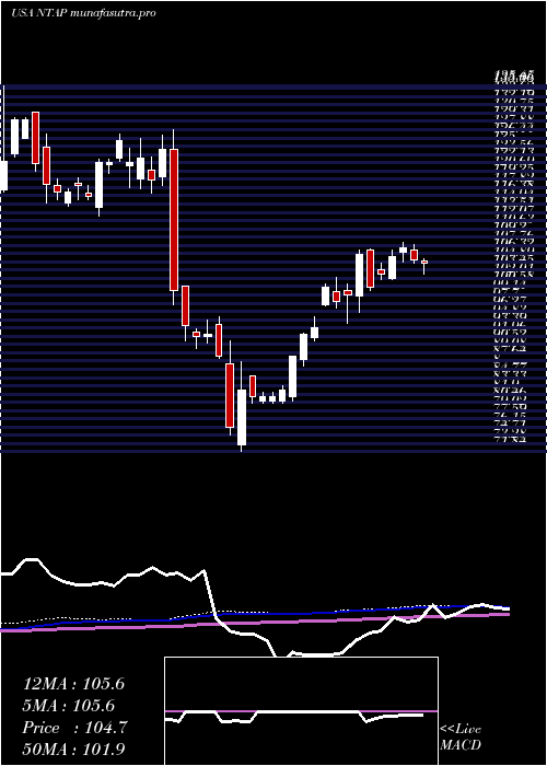 weekly chart NetappInc