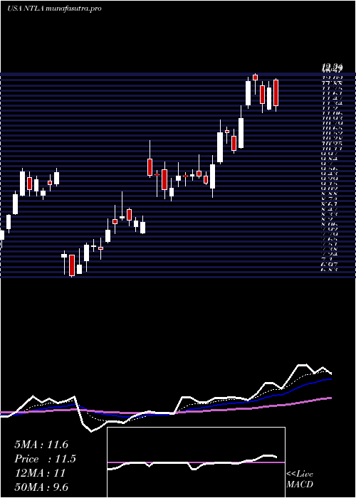 Daily chart IntelliaTherapeutics