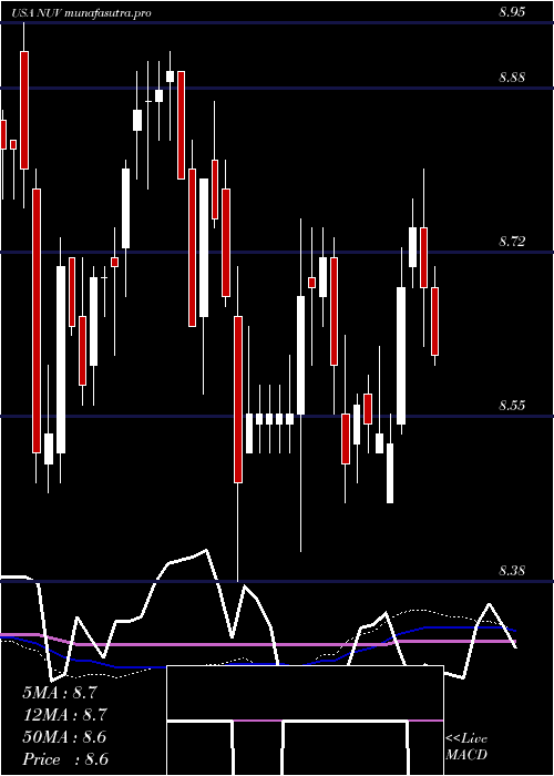 weekly chart NuveenAmt