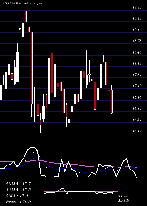 Daily chart Novocure