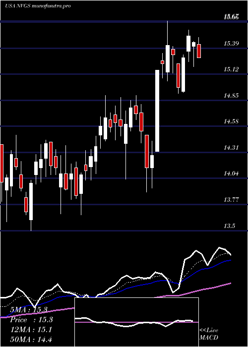 Daily chart NavigatorHoldings