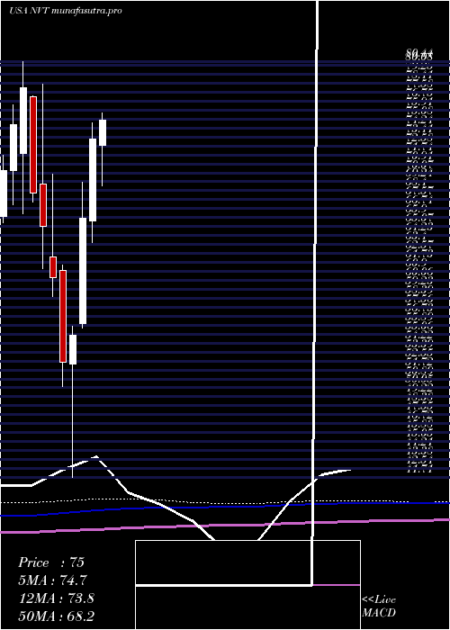 monthly chart NventElectric