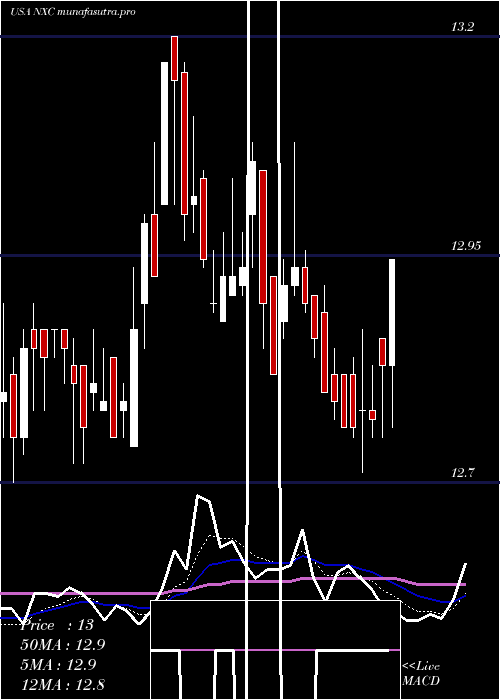  Daily chart NuveenInsured
