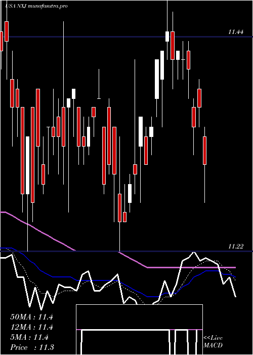 Daily chart NuveenNew