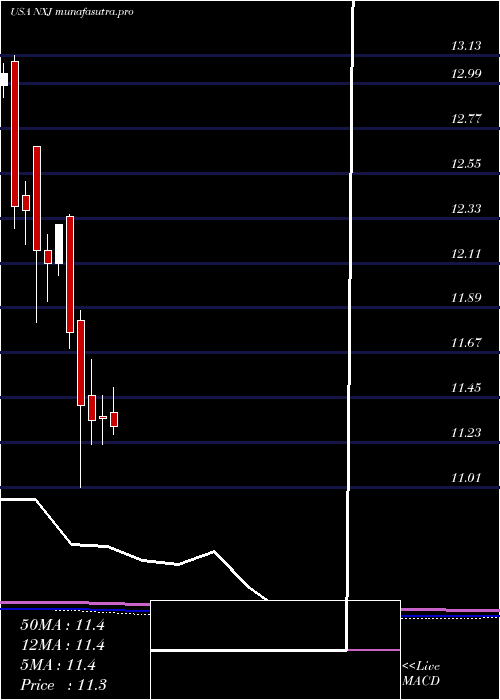 monthly chart NuveenNew
