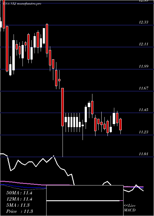 weekly chart NuveenNew