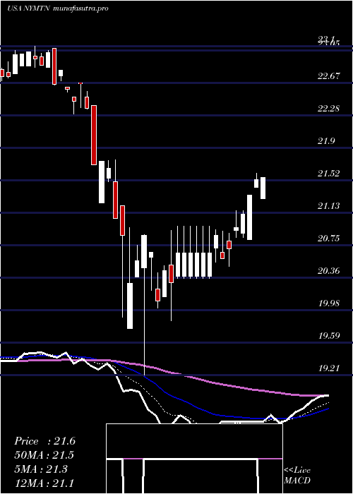  Daily chart NewYork