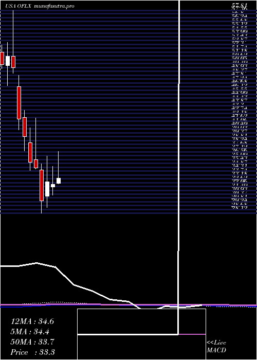 monthly chart OmegaFlex