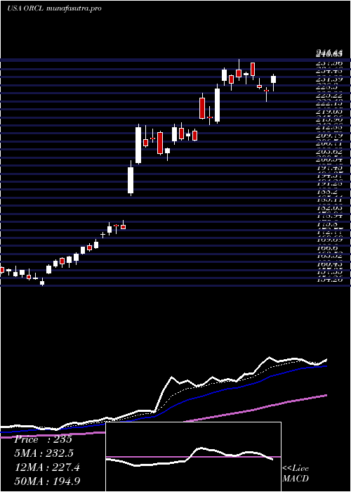 Daily chart OracleCorporation