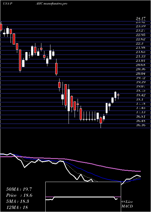  Daily chart PhibroAnimal