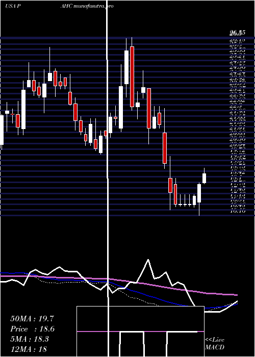  weekly chart PhibroAnimal