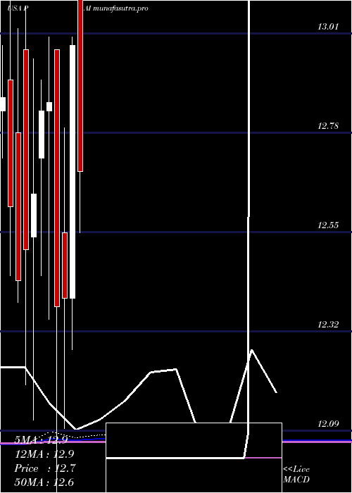 monthly chart WesternAsset