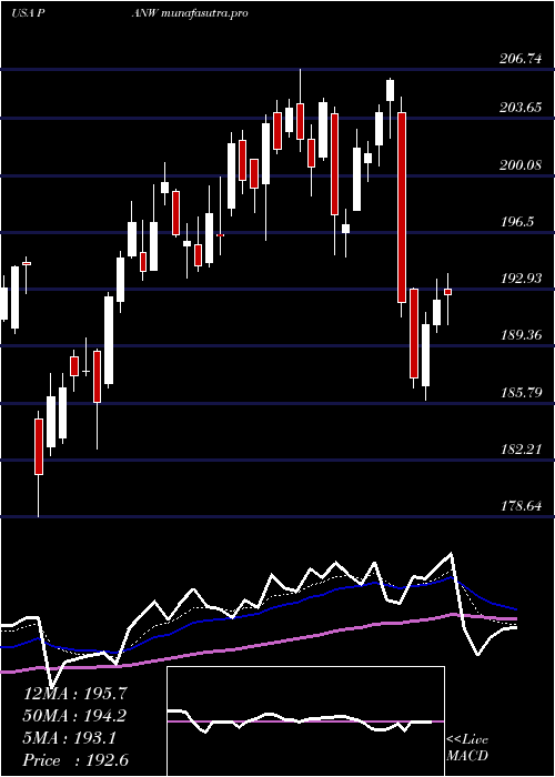 Daily chart PaloAlto