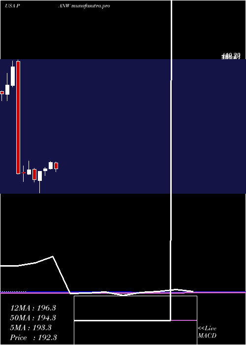 monthly chart PaloAlto