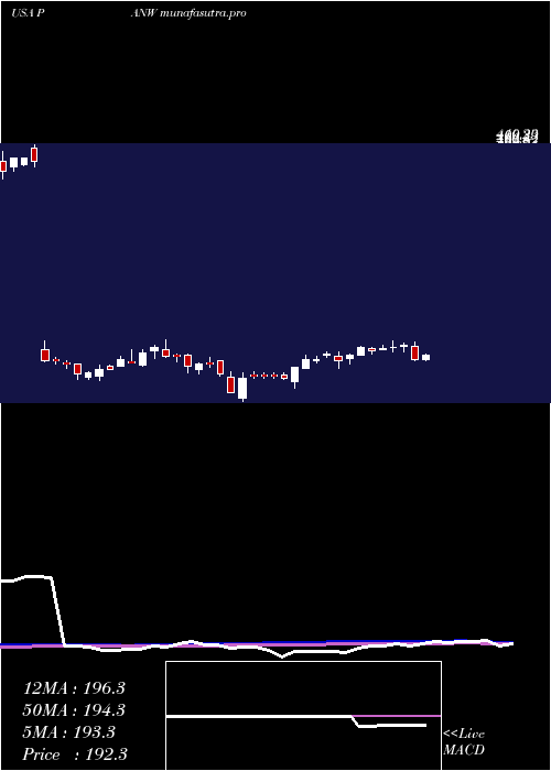 weekly chart PaloAlto