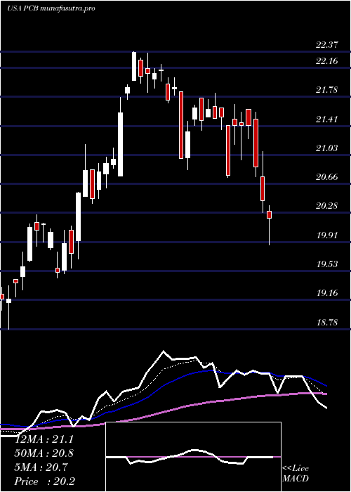  Daily chart PacificCity