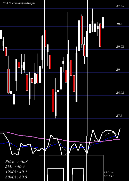 Daily chart PotlatchdelticCorporation