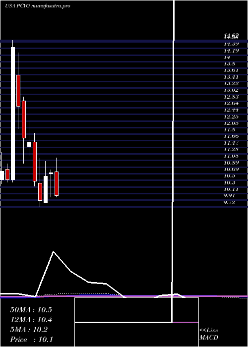 monthly chart PureCycle