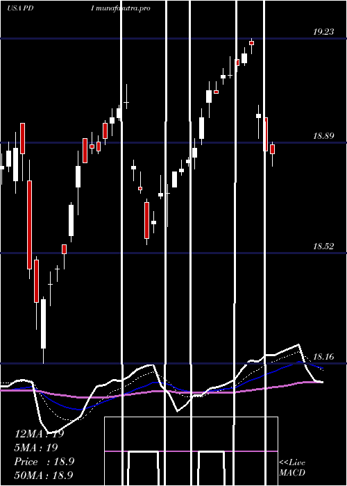 Daily chart PimcoDynamic