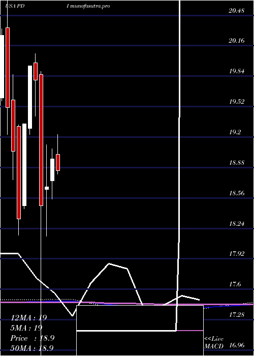 monthly chart PimcoDynamic