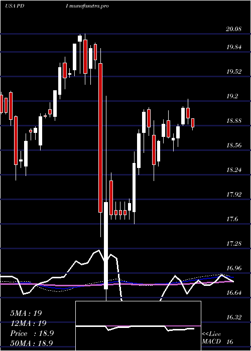 weekly chart PimcoDynamic