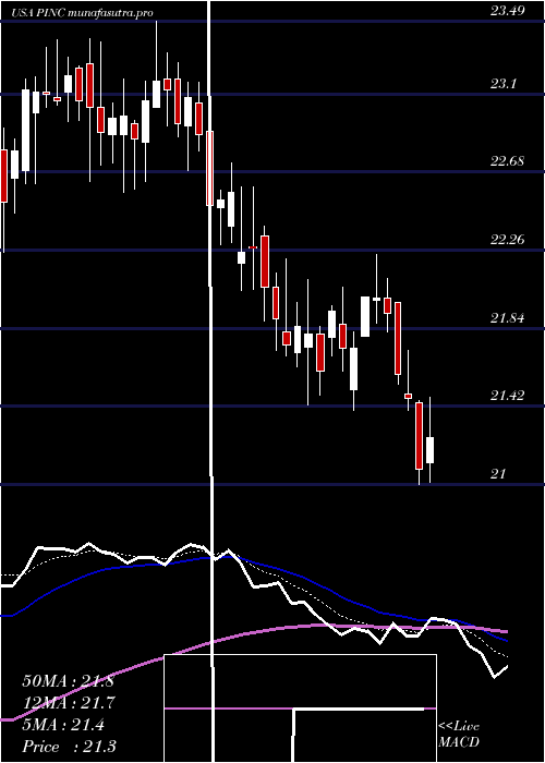 Daily chart PremierInc