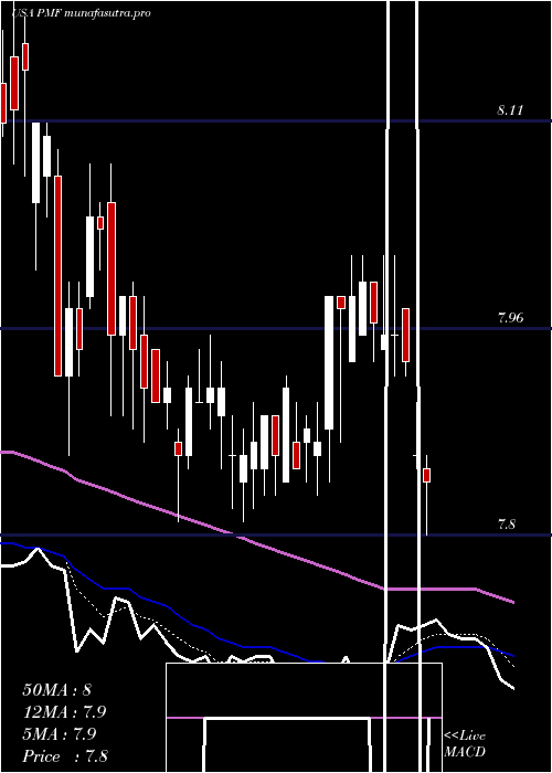 Daily chart PimcoMunicipal
