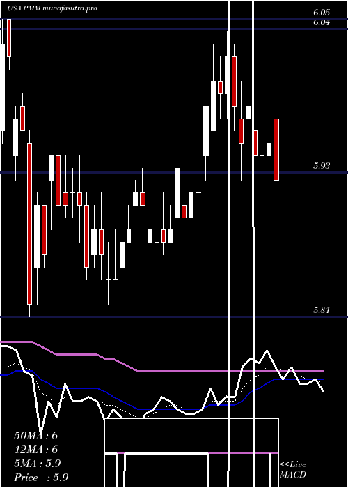 Daily chart PutnamManaged