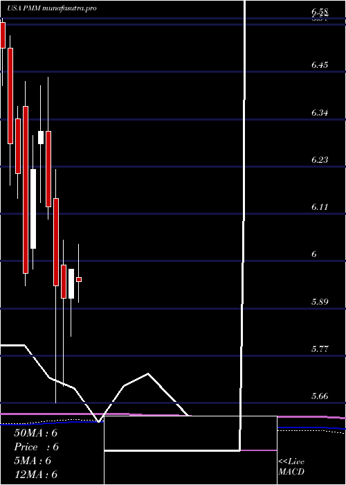 monthly chart PutnamManaged