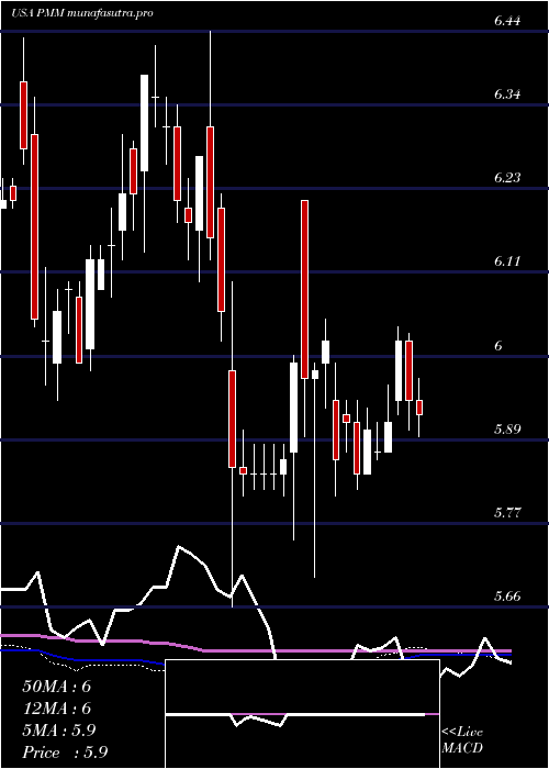 weekly chart PutnamManaged