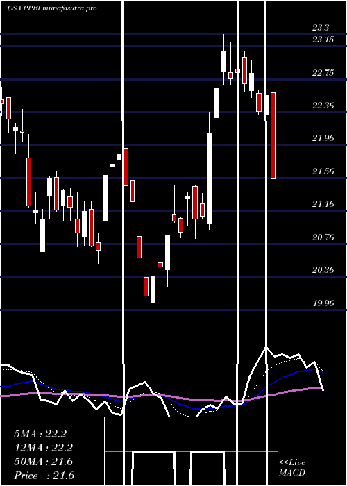 Daily chart PacificPremier
