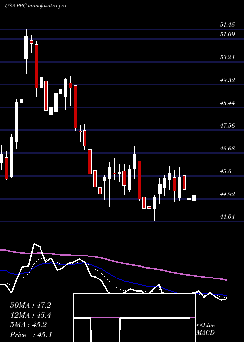 Daily chart PilgrimS