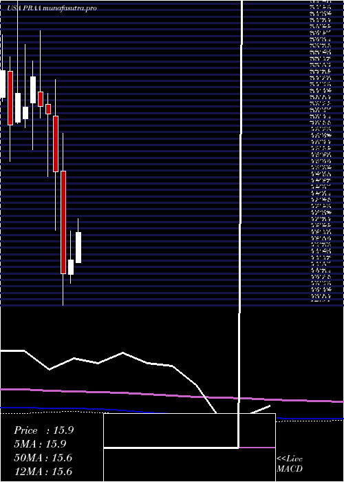 monthly chart PraGroup