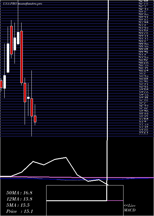 monthly chart ProsHoldings