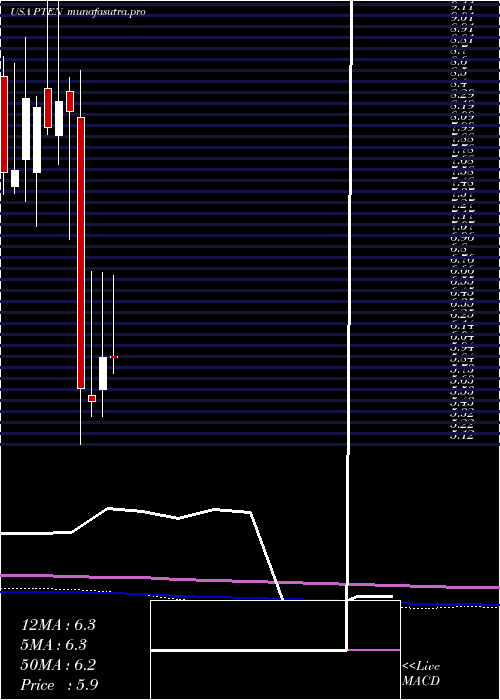 monthly chart PattersonUti